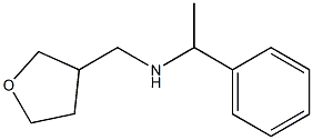 (oxolan-3-ylmethyl)(1-phenylethyl)amine Struktur