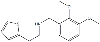 [(2,3-dimethoxyphenyl)methyl][2-(thiophen-2-yl)ethyl]amine Struktur