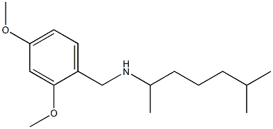 [(2,4-dimethoxyphenyl)methyl](6-methylheptan-2-yl)amine Struktur