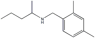 [(2,4-dimethylphenyl)methyl](pentan-2-yl)amine Struktur