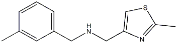 [(2-methyl-1,3-thiazol-4-yl)methyl][(3-methylphenyl)methyl]amine Struktur