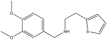 [(3,4-dimethoxyphenyl)methyl][2-(thiophen-2-yl)ethyl]amine Struktur