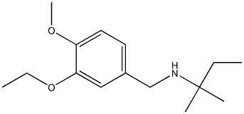 [(3-ethoxy-4-methoxyphenyl)methyl](2-methylbutan-2-yl)amine Struktur