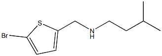 [(5-bromothiophen-2-yl)methyl](3-methylbutyl)amine Struktur