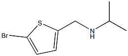 [(5-bromothiophen-2-yl)methyl](propan-2-yl)amine Struktur