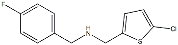 [(5-chlorothiophen-2-yl)methyl][(4-fluorophenyl)methyl]amine Struktur