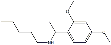 [1-(2,4-dimethoxyphenyl)ethyl](pentyl)amine Struktur