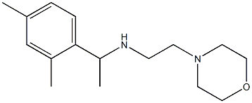 [1-(2,4-dimethylphenyl)ethyl][2-(morpholin-4-yl)ethyl]amine Struktur