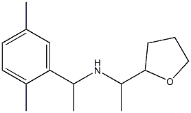 [1-(2,5-dimethylphenyl)ethyl][1-(oxolan-2-yl)ethyl]amine Struktur