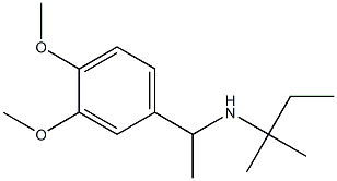 [1-(3,4-dimethoxyphenyl)ethyl](2-methylbutan-2-yl)amine Struktur