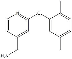 [2-(2,5-dimethylphenoxy)pyridin-4-yl]methylamine Struktur