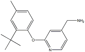 [2-(2-tert-butyl-4-methylphenoxy)pyridin-4-yl]methanamine Struktur