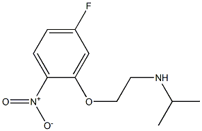 [2-(5-fluoro-2-nitrophenoxy)ethyl](propan-2-yl)amine Struktur