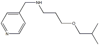 [3-(2-methylpropoxy)propyl](pyridin-4-ylmethyl)amine Struktur