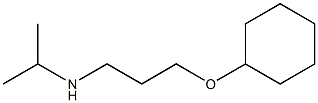 [3-(cyclohexyloxy)propyl](propan-2-yl)amine Struktur