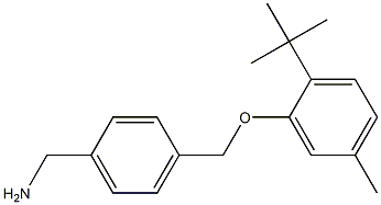 [4-(2-tert-butyl-5-methylphenoxymethyl)phenyl]methanamine Struktur