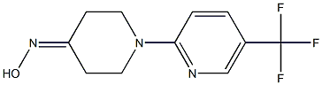 1-[5-(trifluoromethyl)pyridin-2-yl]piperidin-4-one oxime Struktur