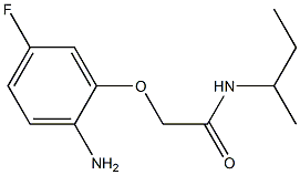 2-(2-amino-5-fluorophenoxy)-N-(sec-butyl)acetamide Struktur