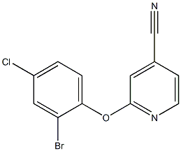 2-(2-bromo-4-chlorophenoxy)isonicotinonitrile Struktur