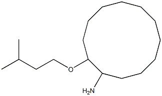 2-(3-methylbutoxy)cyclododecan-1-amine Struktur