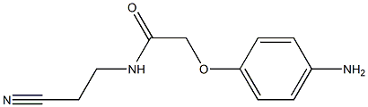 2-(4-aminophenoxy)-N-(2-cyanoethyl)acetamide Struktur