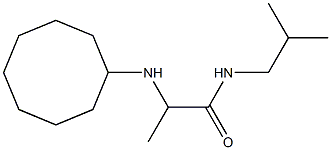 2-(cyclooctylamino)-N-(2-methylpropyl)propanamide Struktur