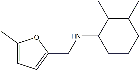 2,3-dimethyl-N-[(5-methylfuran-2-yl)methyl]cyclohexan-1-amine Struktur