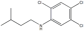 2,4,5-trichloro-N-(3-methylbutyl)aniline Struktur