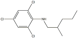 2,4,6-trichloro-N-(2-methylpentyl)aniline Struktur