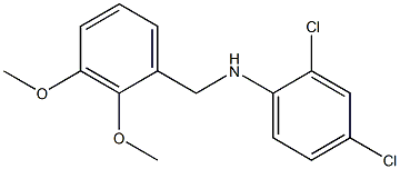 2,4-dichloro-N-[(2,3-dimethoxyphenyl)methyl]aniline Struktur