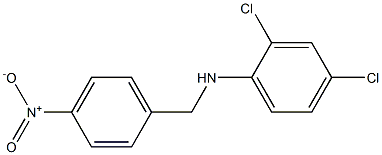 2,4-dichloro-N-[(4-nitrophenyl)methyl]aniline Struktur