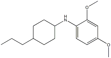 2,4-dimethoxy-N-(4-propylcyclohexyl)aniline Struktur