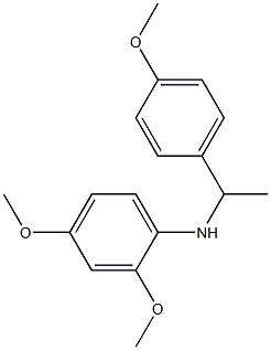 2,4-dimethoxy-N-[1-(4-methoxyphenyl)ethyl]aniline Struktur