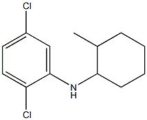 2,5-dichloro-N-(2-methylcyclohexyl)aniline Struktur