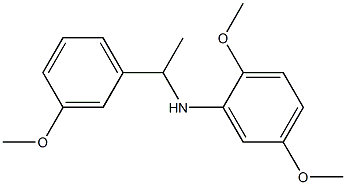 2,5-dimethoxy-N-[1-(3-methoxyphenyl)ethyl]aniline Struktur