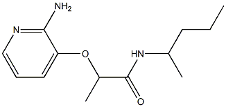 2-[(2-aminopyridin-3-yl)oxy]-N-(pentan-2-yl)propanamide Struktur