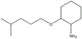 2-[(4-methylpentyl)oxy]cyclohexan-1-amine Struktur