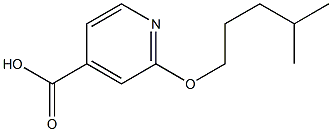 2-[(4-methylpentyl)oxy]pyridine-4-carboxylic acid Struktur