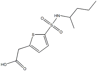 2-[5-(pentan-2-ylsulfamoyl)thiophen-2-yl]acetic acid Struktur