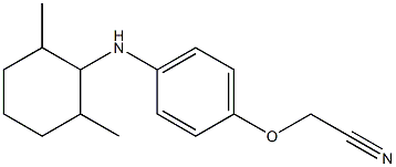 2-{4-[(2,6-dimethylcyclohexyl)amino]phenoxy}acetonitrile Struktur