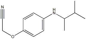 2-{4-[(3-methylbutan-2-yl)amino]phenoxy}acetonitrile Struktur