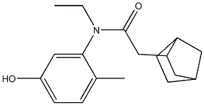 2-{bicyclo[2.2.1]heptan-2-yl}-N-ethyl-N-(5-hydroxy-2-methylphenyl)acetamide Struktur