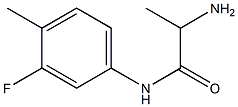 2-amino-N-(3-fluoro-4-methylphenyl)propanamide Struktur