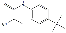 2-amino-N-(4-tert-butylphenyl)propanamide Struktur