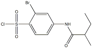 2-bromo-4-(2-methylbutanamido)benzene-1-sulfonyl chloride Struktur