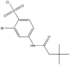 2-bromo-4-(3,3-dimethylbutanamido)benzene-1-sulfonyl chloride Struktur