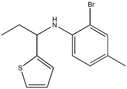 2-bromo-4-methyl-N-[1-(thiophen-2-yl)propyl]aniline Struktur