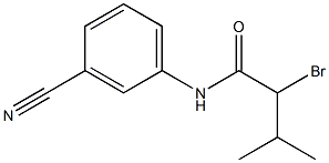 2-bromo-N-(3-cyanophenyl)-3-methylbutanamide Struktur