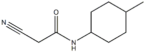 2-cyano-N-(4-methylcyclohexyl)acetamide Struktur