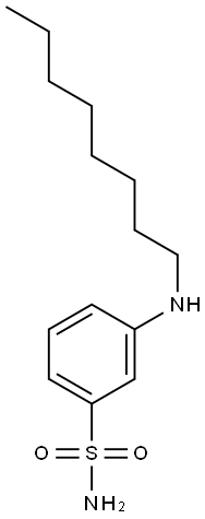 3-(octylamino)benzene-1-sulfonamide Struktur